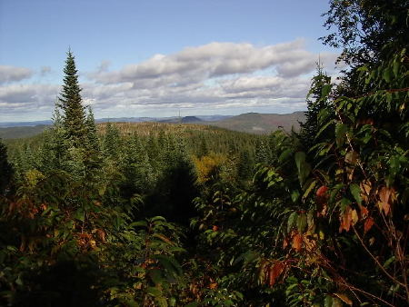 IMGP0074.jpg
