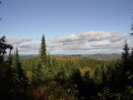 IMGP0075.jpg
