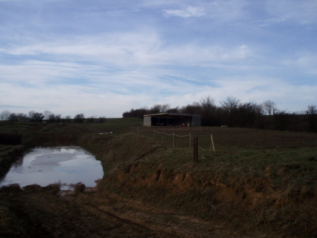 2P2030050.jpg