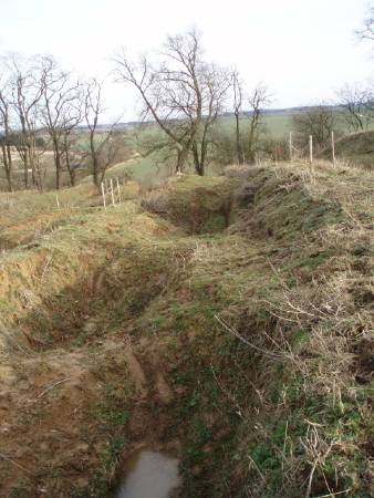 2P2030072.jpg