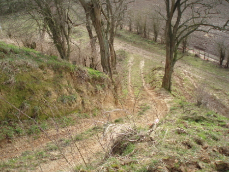 2P2030084.jpg