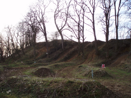 2P2030052.jpg
