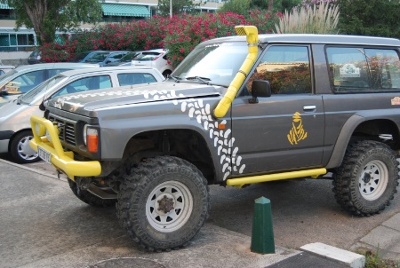 dsc_0113.jpg dsc_0113.jpg