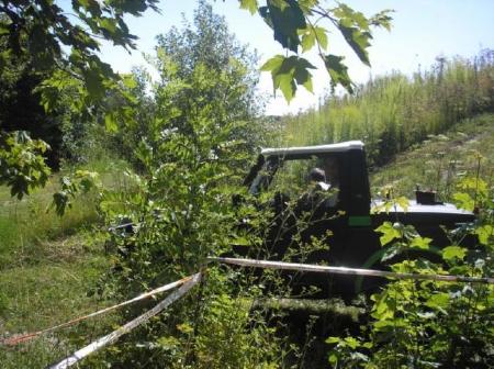 7romax51-1-20090803-203349.jpg