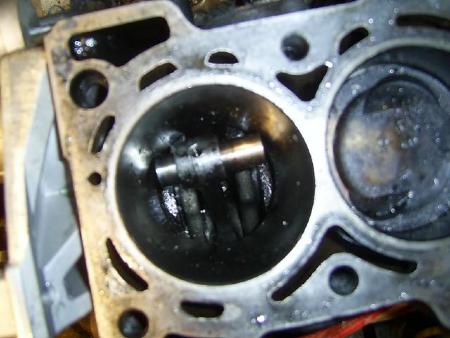 7romax51-2-20100114-194136.jpg