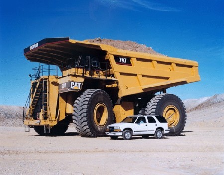 caterp10.jpg
