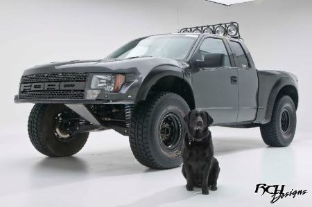 RaptorfromRaceworks-1.jpg RaptorfromRaceworks-1.jpg