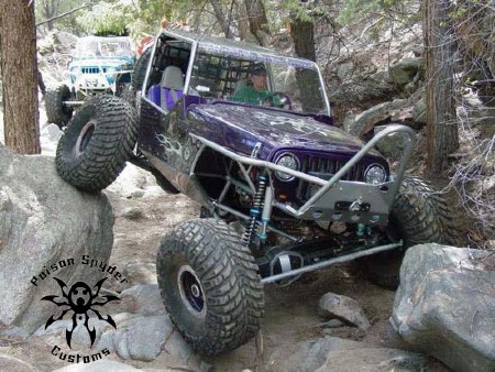 426821bruiser21lg.jpg
