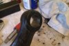 tn_IMAG0394.jpg