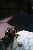 tn_IMAG0405.jpg