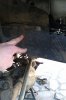 tn_IMAG0406.jpg