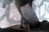 tn_IMAG0409.jpg
