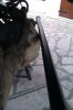 tn_IMAG0412.jpg
