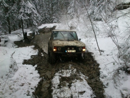 dsc_0818.jpg