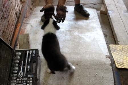 img_2217.jpg img_2217.jpg