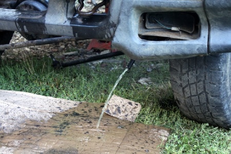 img_2229.jpg img_2229.jpg