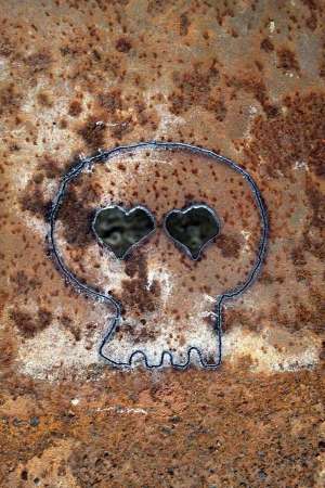 img_2237.jpg img_2237.jpg